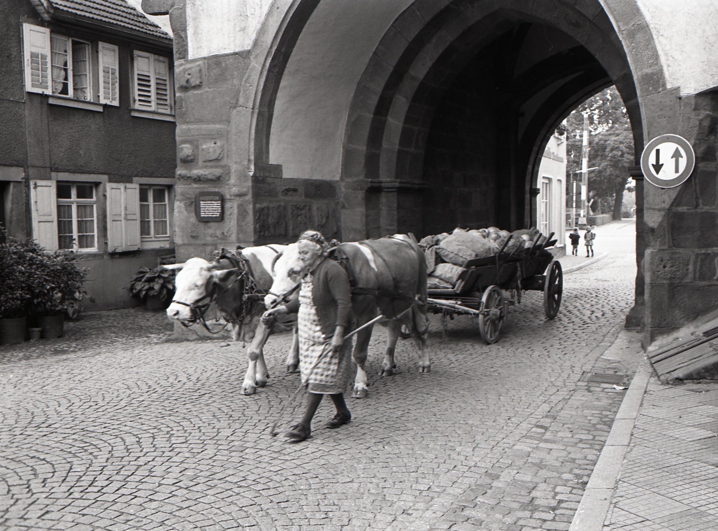 Bäuerin mit Kühen vor dem Wagen voll mit Gemüse, Bilder von Friedrich Strohm 
