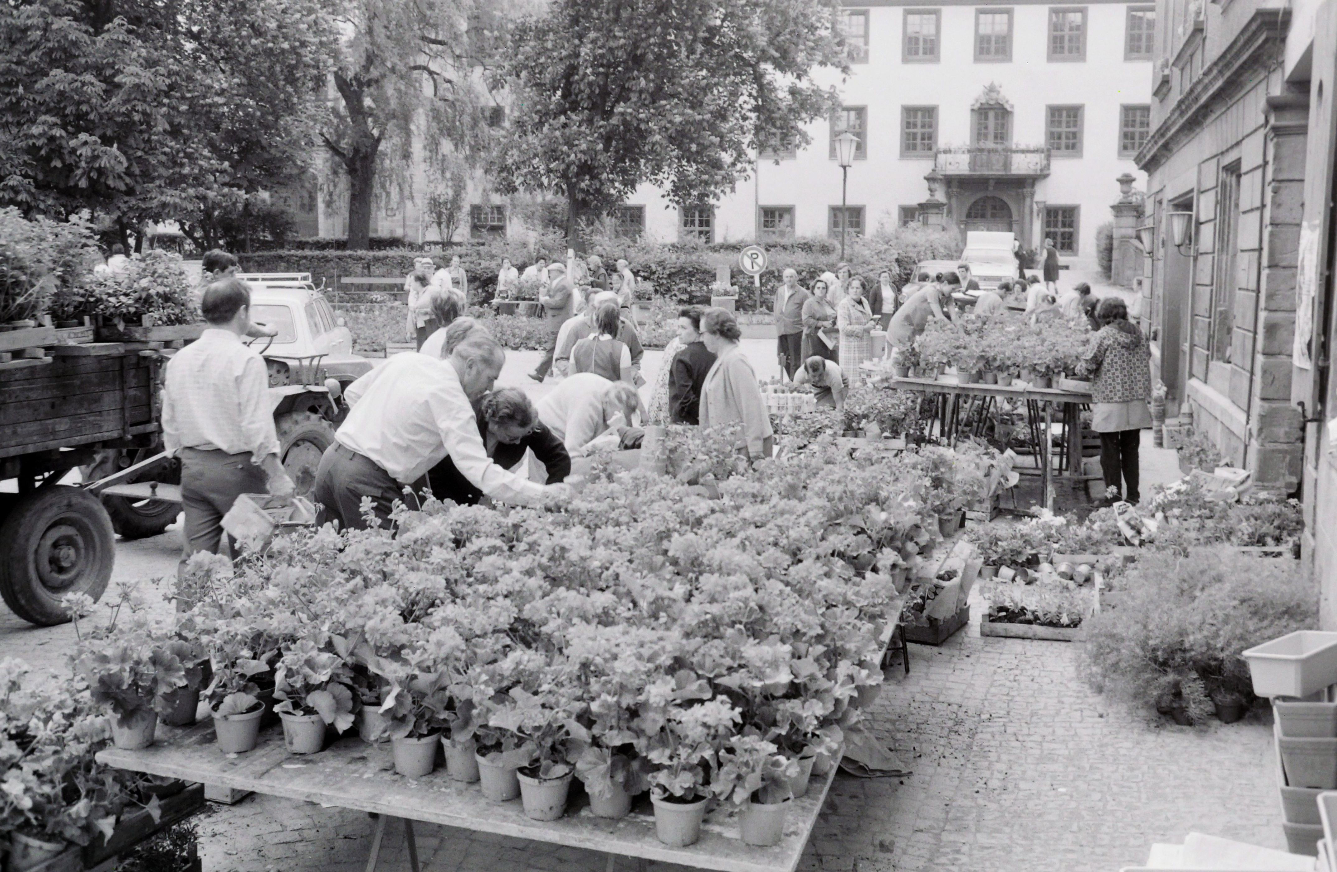 15.05.1971 Gengenbacher Geranienmarkt
