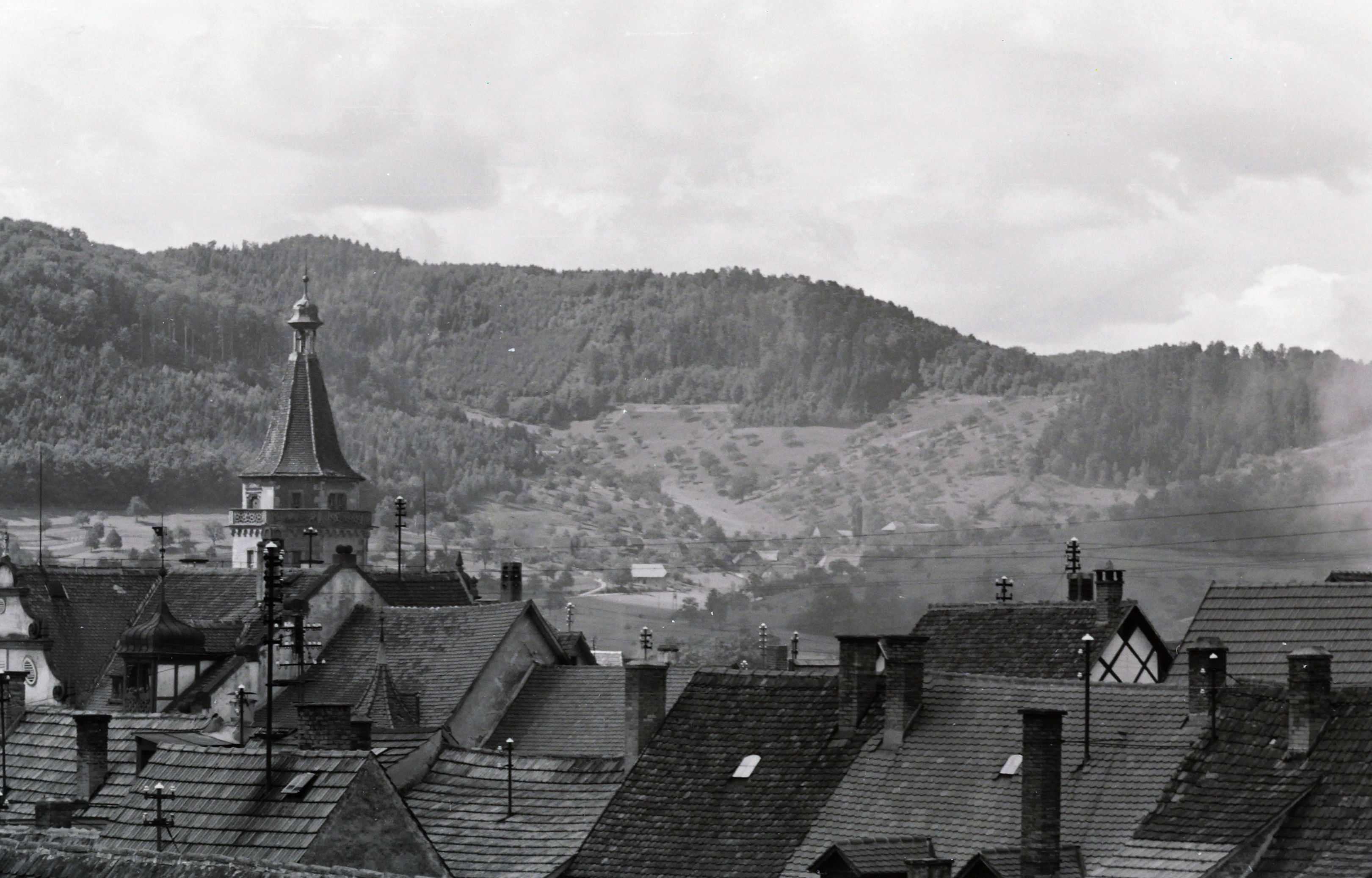 Über den Dächern Gengenbachs mit Blick auf den Niggelturm und die Berge dahinter