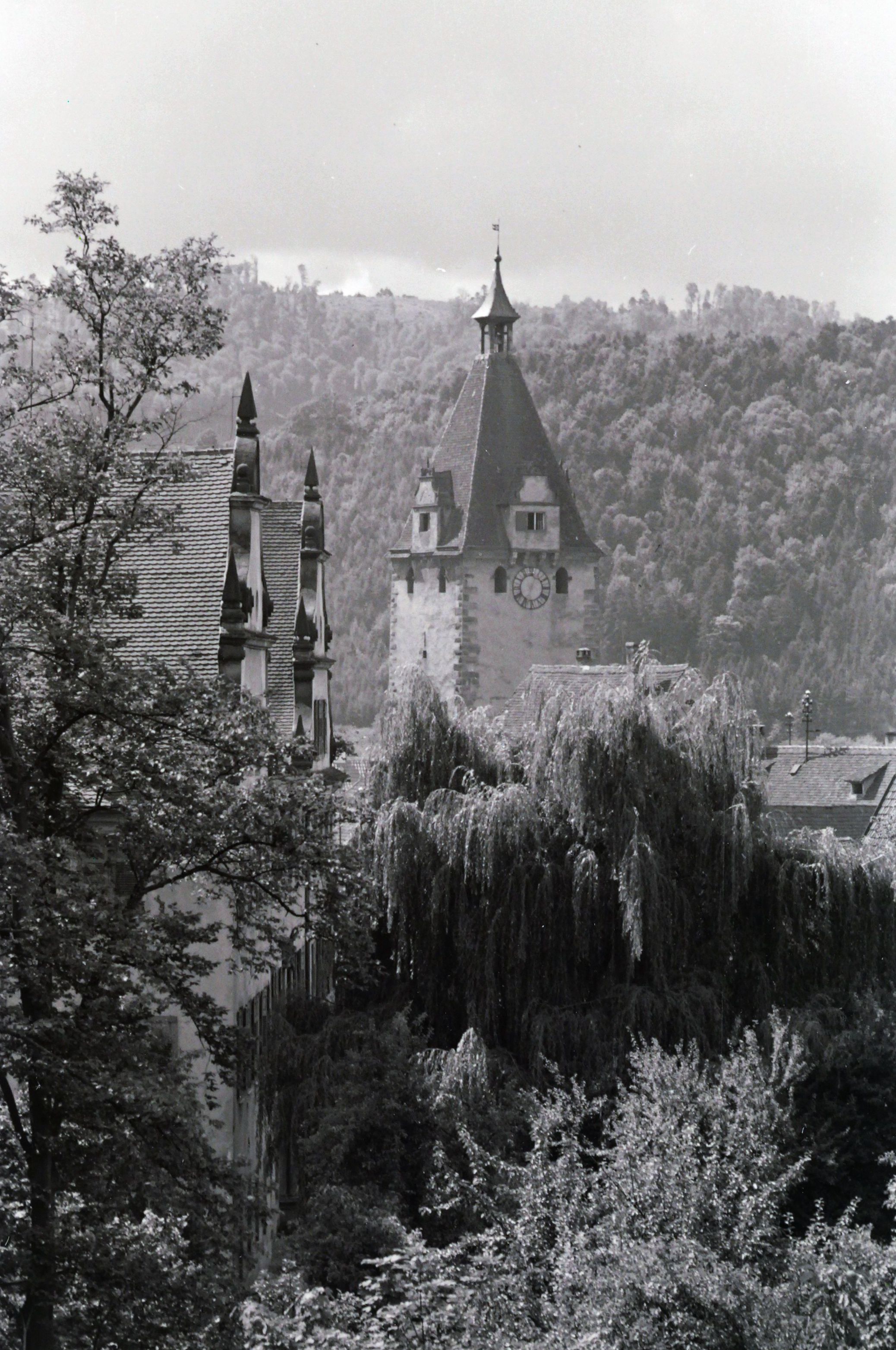 Das Foto zeigt schöne Bäume und einen der vier Stadttürme Gengenbachs